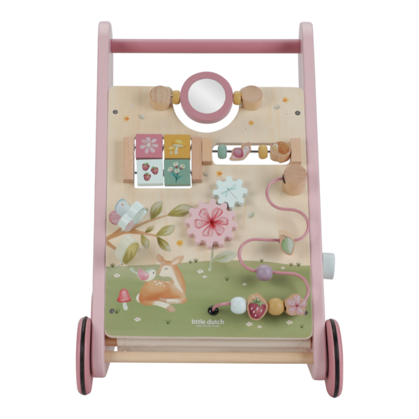 Primi passi multi-attivit  - Fairy Garden FSC